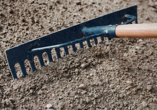 Yard Regrading & Drainage Correction